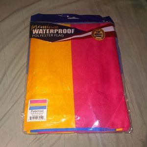 Pansexual pride flags